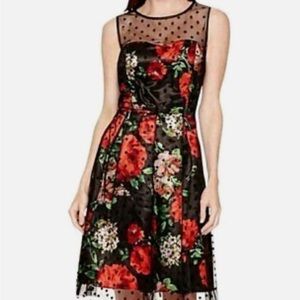 SD Collection Black Floral Mesh A-Line Cocktail Dress with Red Roses Size 4